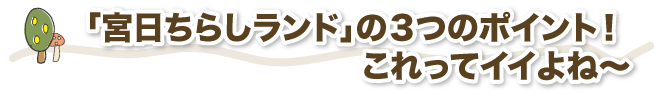 「宮日ちらしランド」の3つのポイント！これってイイよね～
