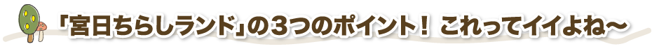 「宮日ちらしランド」の3つのポイント！これってイイよね～