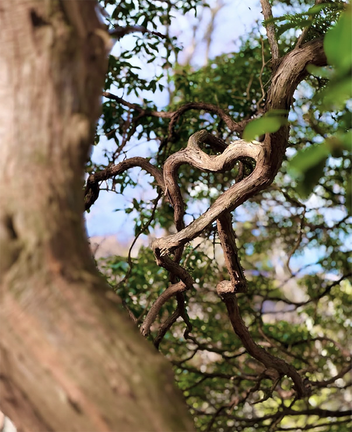 最優秀賞の写真