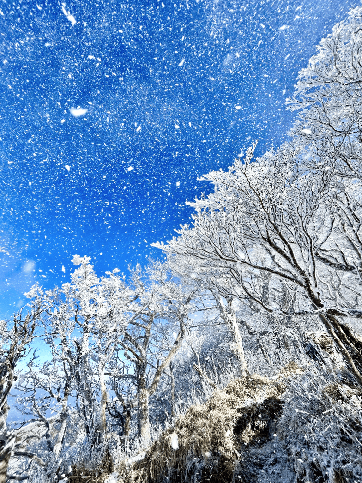 最優秀賞の写真