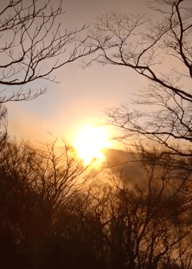 最優秀賞の写真